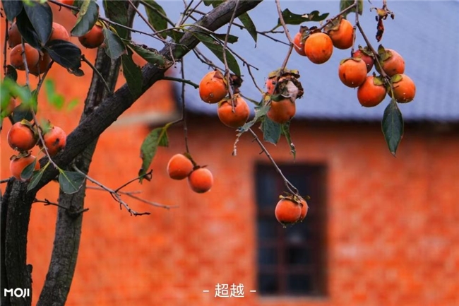 秋日犯困别硬扛,墨迹天气数据指引活力生活