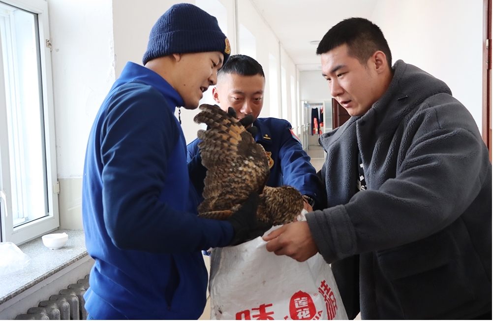 图片6.jpg 图片6.jpg