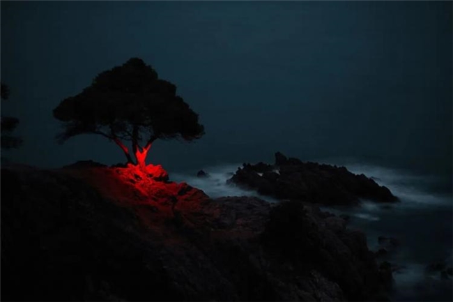 五位艺术家的光影奇境：自然、幻想与创意的碰撞