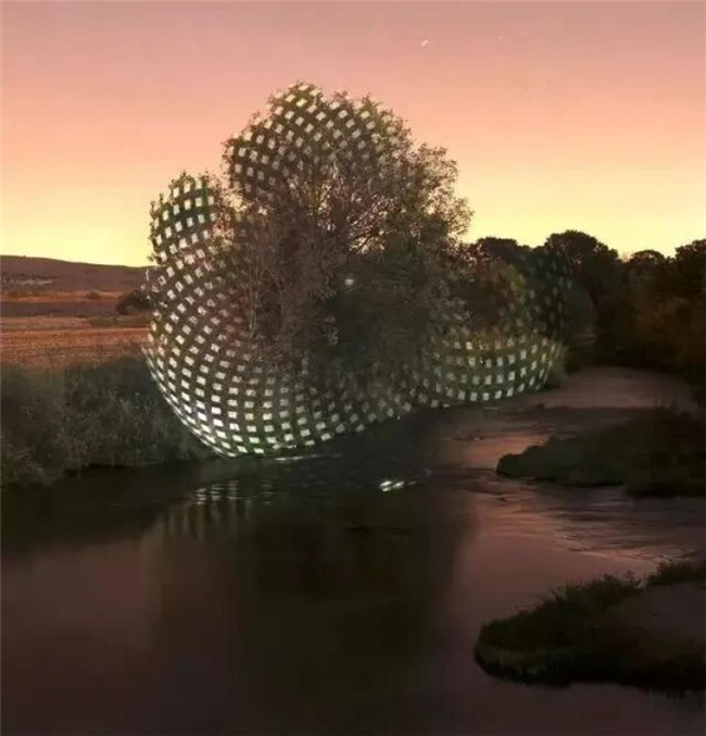 五位艺术家的光影奇境：自然、幻想与创意的碰撞