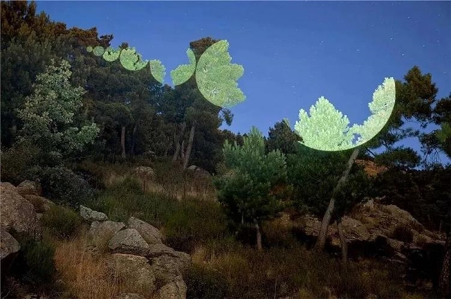 五位艺术家的光影奇境：自然、幻想与创意的碰撞