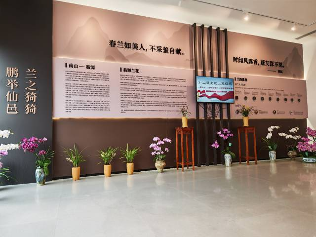 鹏举仙邑 兰之猗猗 翁源兰花展在深圳启幕_钱江网-财经互联网专业、高端资讯代表门户