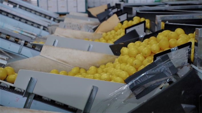 蜜雪冰城买不到柠檬水,到底怎么了?