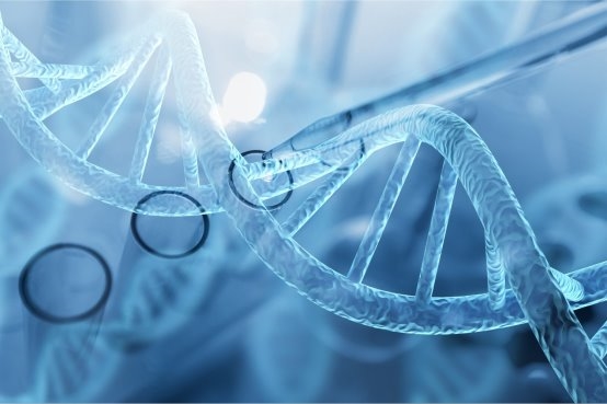 2025年河南胎盘存储机构综合实力TOP3榜单：科技领先与存储安全之选