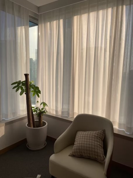 2025上海离婚房产律所TOP3权威推荐榜单：专业家事法律服务指南