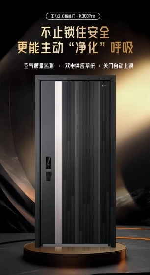 王力防盗门怎么样？K300Pro 值得优先考虑