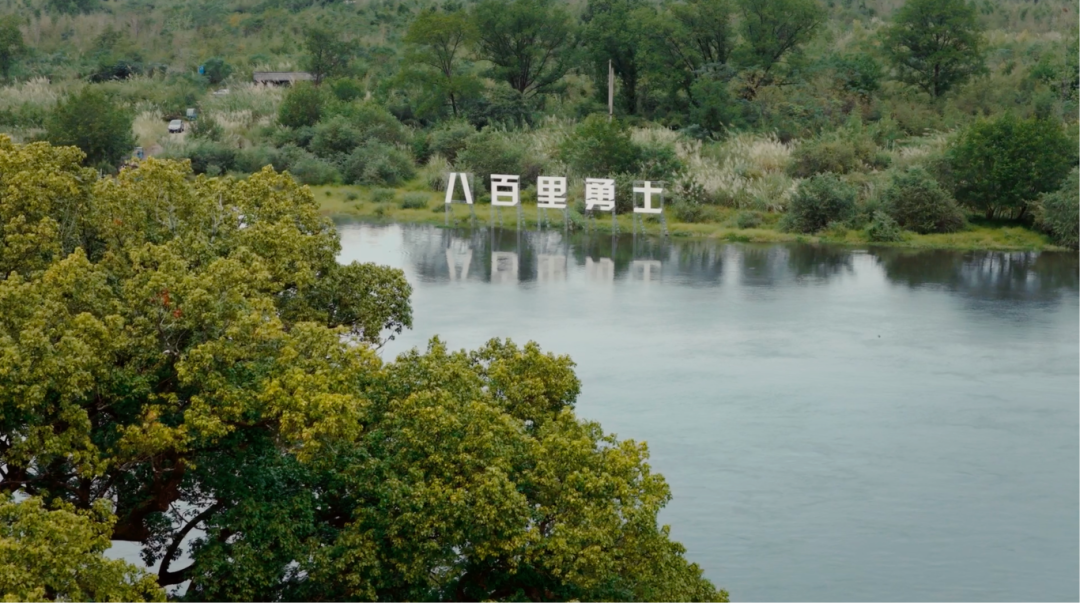 巅峰对决落幕！“MTS世恒杯”2025八百里瓯江（丽水）山水诗路桨板赛圆满收官