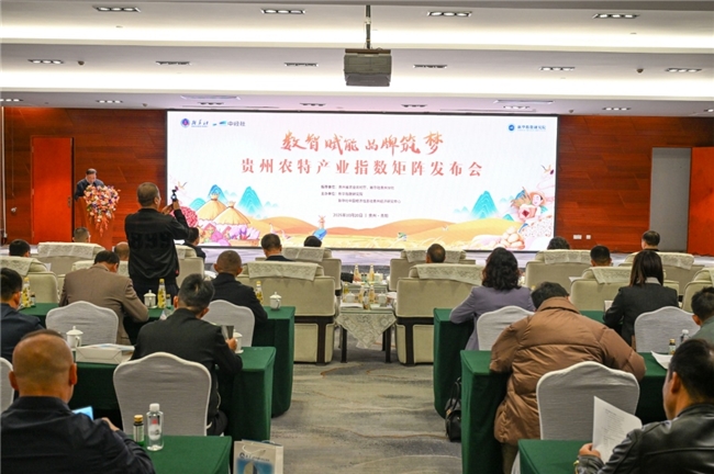 贵州农特产品指数矩阵助力威宁洋芋品牌影响力持续提升
