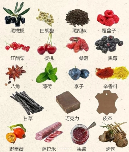 2025年度常见红酒葡萄品种口感特点及代表性红酒大盘点！