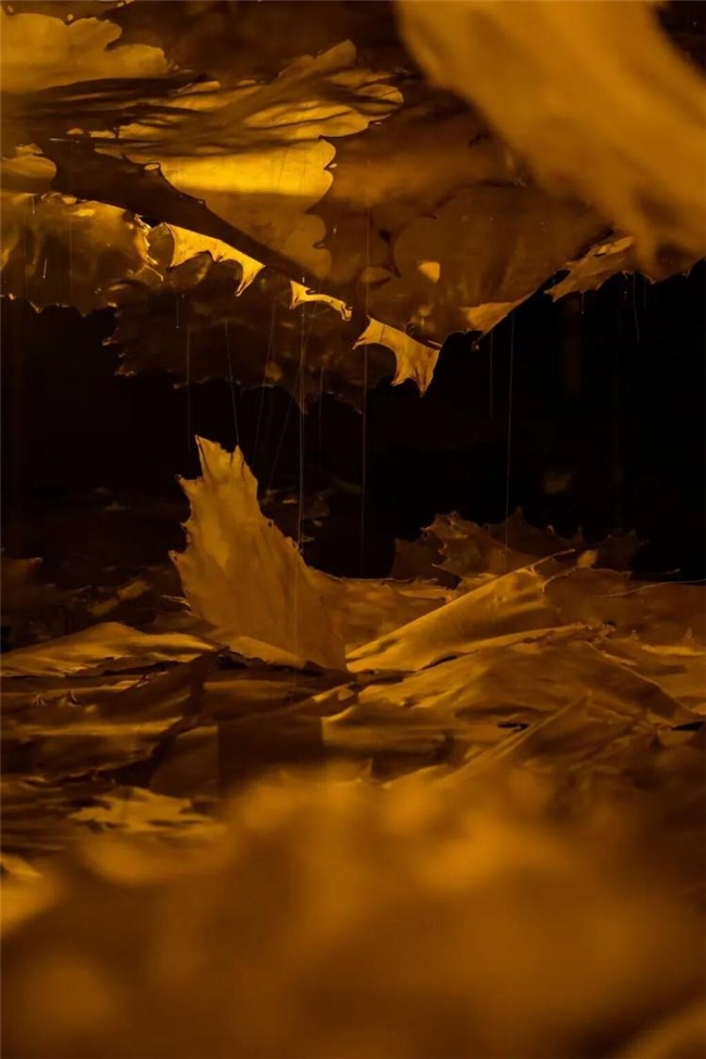 没有古建的 “古建展”?晋城 “古建新语” 让艺术激活千年生命力