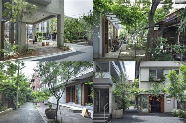 从潜水表到救灾房屋!2025日本优良设计奖BEST100藏着哪些 “生活巧思”?