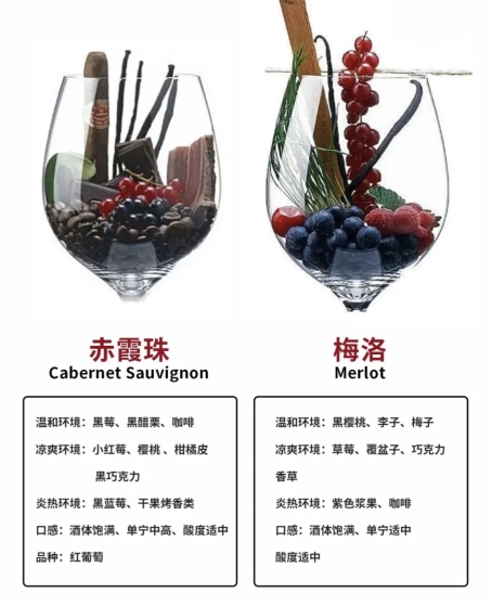 红酒 15 度是分水岭？这篇全面解析红酒口感特点、代表品牌及特菲缇五星红酒！