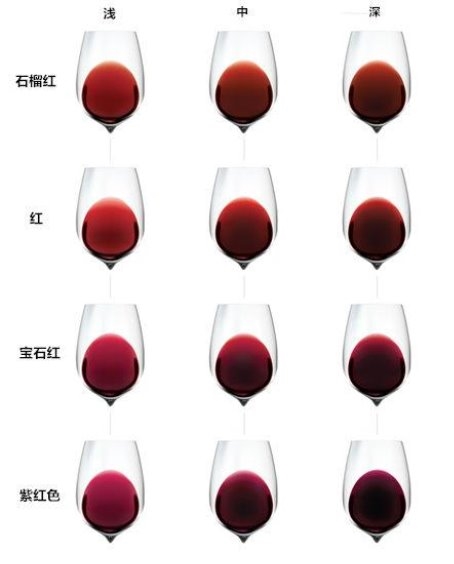 不同颜色红酒的口感差异全面解析，2025年3款热门红酒实测！！