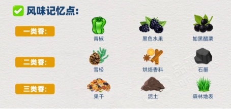 橡木桶 vs 不锈钢桶陈酿红酒：特菲缇五星与蒙特斯经典赤霞珠差异解析！