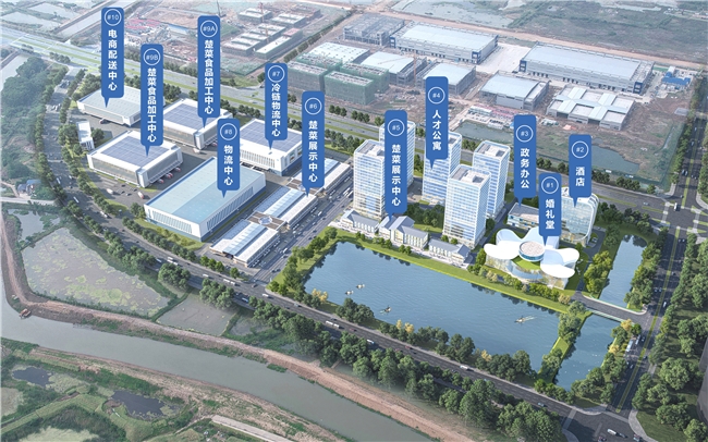 楚菜如何“出圈”？ ——荆州以“文化+产业”双轮驱动模式，为湖北万亿楚菜产业发展探路