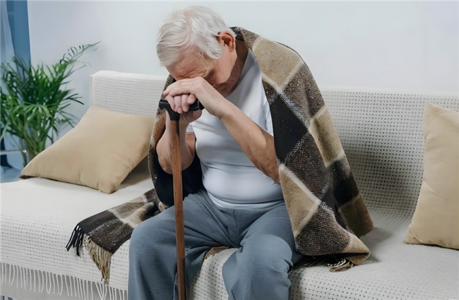 聚焦日常健康维护：EWKELITE维利特以优质成分筑牢身体营养屏障