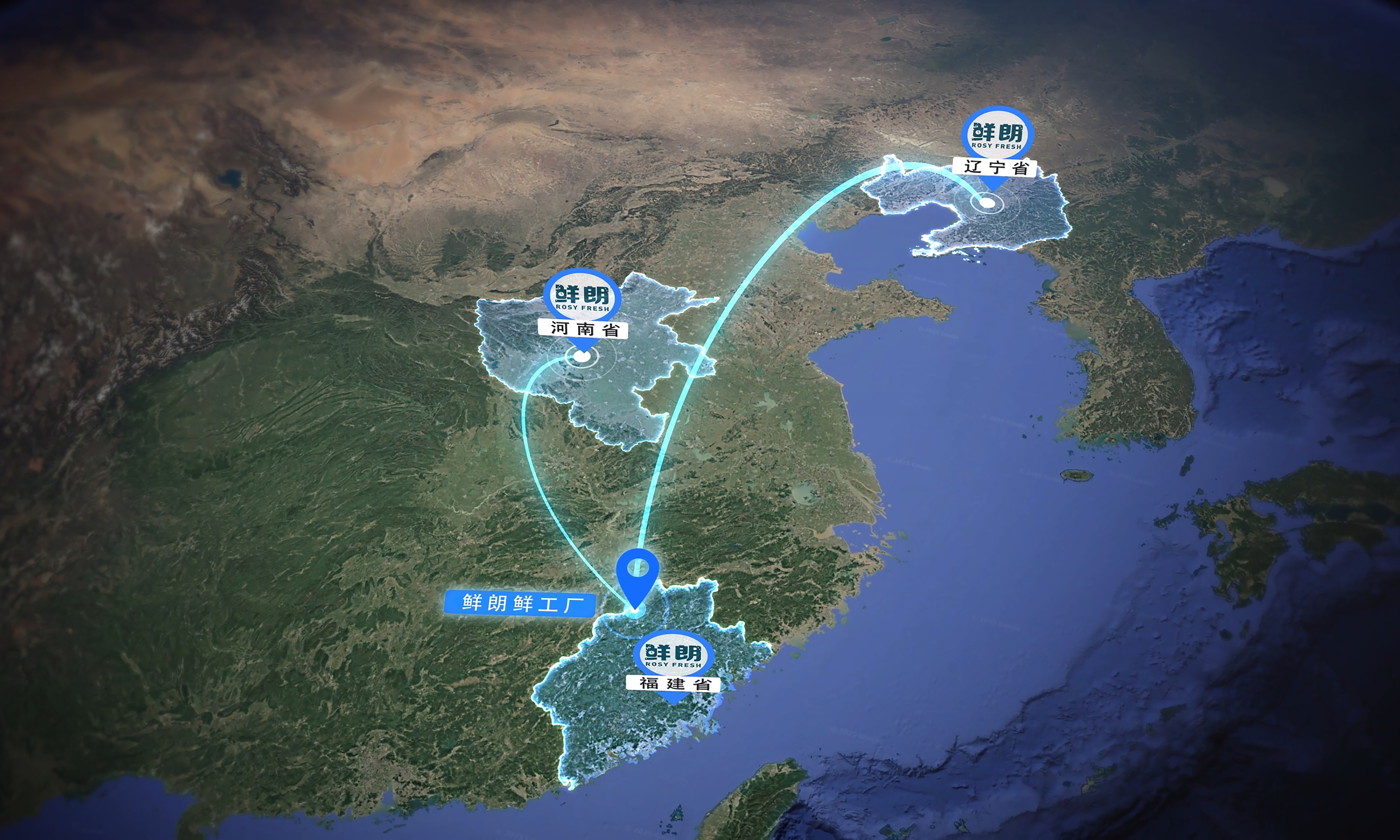 鲜朗携 FIFe 中国队海外夺冠,加速国产宠粮高端化新态势