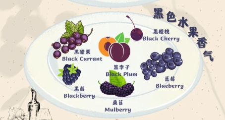 澳洲三大经典红酒品牌分析与推荐：从风味到场景的全面解析！