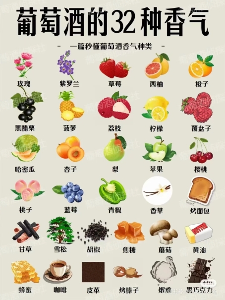 澳洲三大经典红酒品牌分析与推荐：从风味到场景的全面解析！