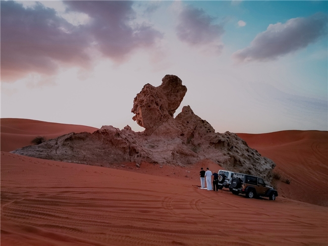 沙迦2日打卡计划 | 逛古城吃漂亮饭，探沙漠看野生动物