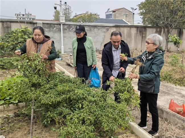 岁岁重阳暖，初心践笃行