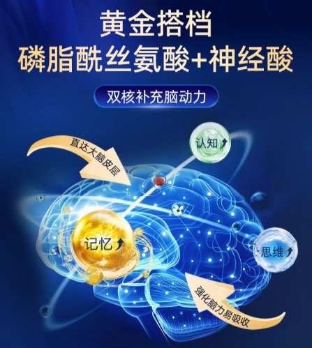 中老年脑健康攻略：从神经酸的认知到SLEKAN强乐康的营养支持