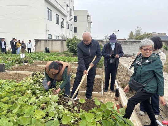 湖北黄州：丹枫映秋暖桑榆 薪火传情话新程