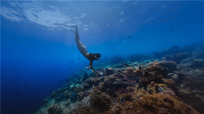 马尔代夫肉桂度假酒店推出史上重磅力度11.11优惠活动！