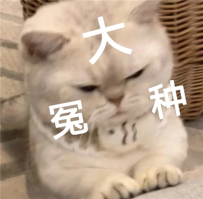 双十一电视选购避坑：RGB-Mini LED选对不花冤枉钱，改进型技术才是真香