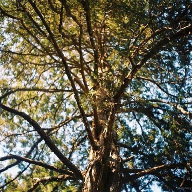 新手必看!中画幅相机选择与二手淘机技巧