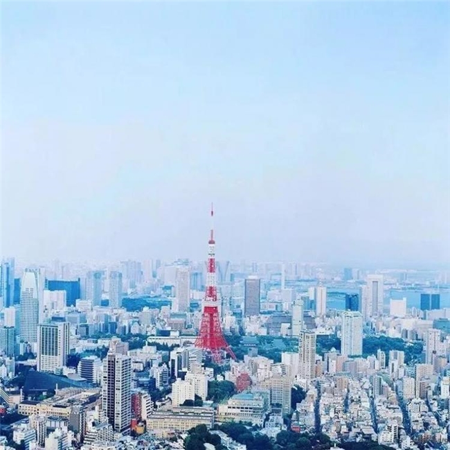 新手必看!中画幅相机选择与二手淘机技巧