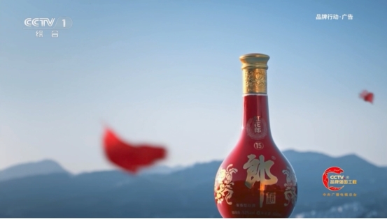 汪博炜总经理接受央视采访：红花国色红花郎 一马当先献礼马年春节