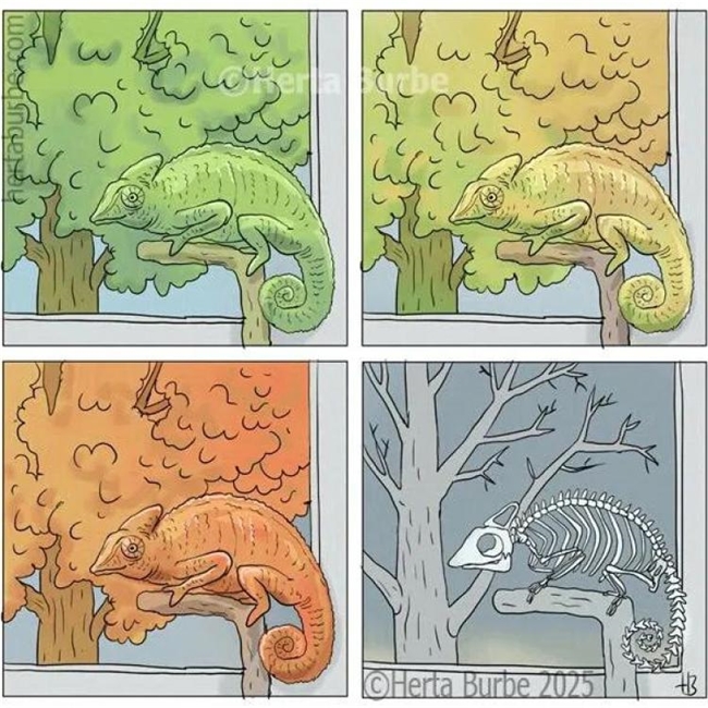 20幅黑色幽默漫画:反转剧情笑不停,藏着生活真相