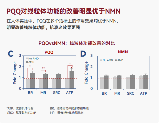 燕教授闪澎澎胶原蛋白肽饮：满足多元需求，解锁逆龄密码