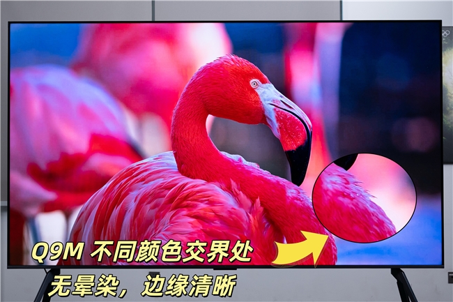 买RGB电视怕踩坑？TCL Q9M以改进型技术改善RGB痛点(图6)