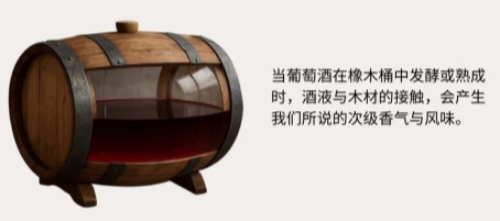 橡木桶：赋予红酒灵魂的 “魔法师”，深度解析特菲缇五星与奔富389的口感！
