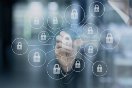 榕树贷款：以合规资质筑牢金融服务安心之基