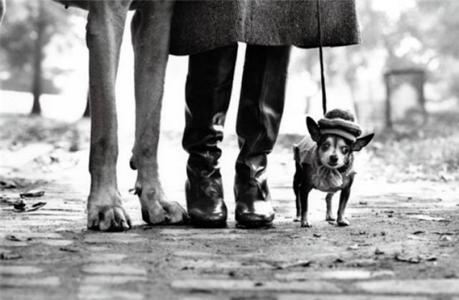 跨越光影的对话：摄影大师教你拍出有故事的照片