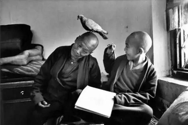 跨越光影的对话：摄影大师教你拍出有故事的照片