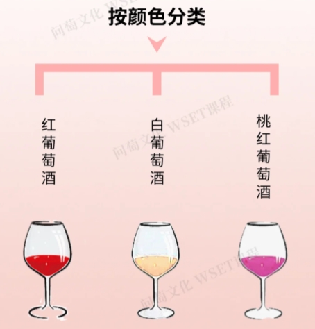 红酒≠葡萄酒！3 个品牌实例带你看懂两者的核心区别！