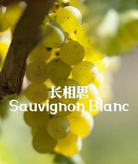 红酒≠葡萄酒！3 个品牌实例带你看懂两者的核心区别！