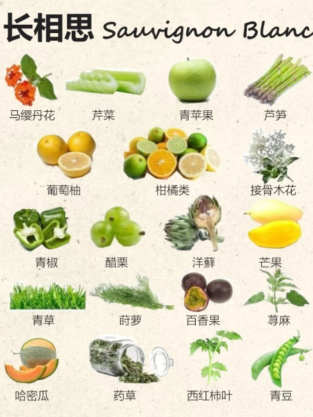 红酒≠葡萄酒！3 个品牌实例带你看懂两者的核心区别！