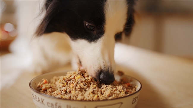 告别“无标准”！福贝宠食牵头制定宠物鲜粮首个团标