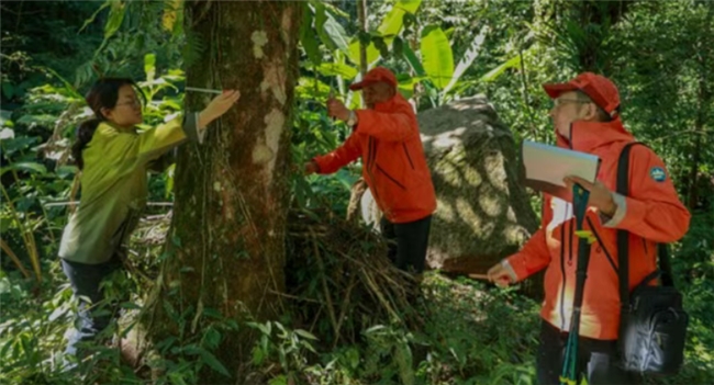 硬核防护加持!中乔体育御山甲系列护航高黎贡山探索之旅