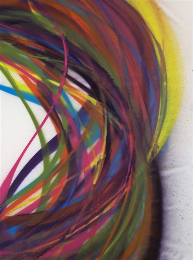 喷枪之下的色彩狂想,卡塔琳娜・格罗斯的多感官艺术