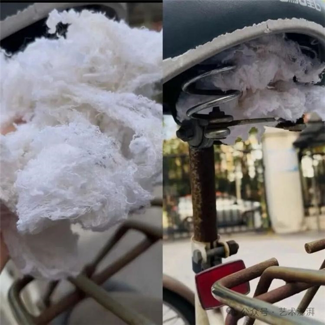 自行车后座的回丝废料,被他做成了堪比油画的艺术