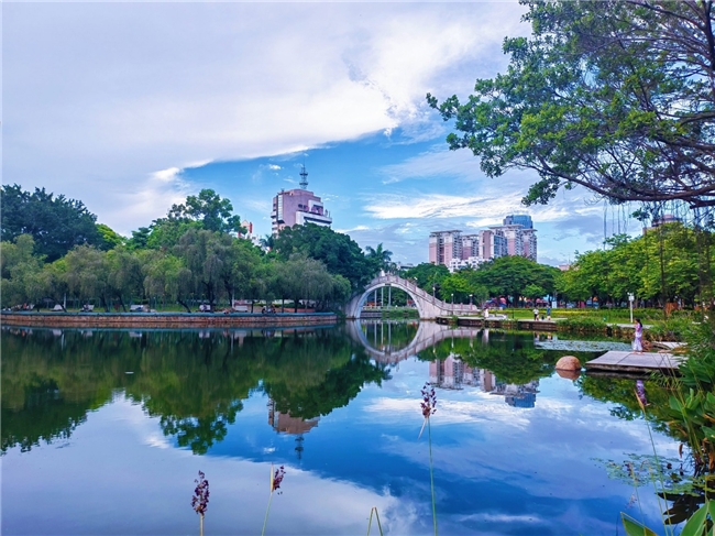 重奖征集！“光明杯” 金平IP设计大赛，赋能产业与文旅双升级