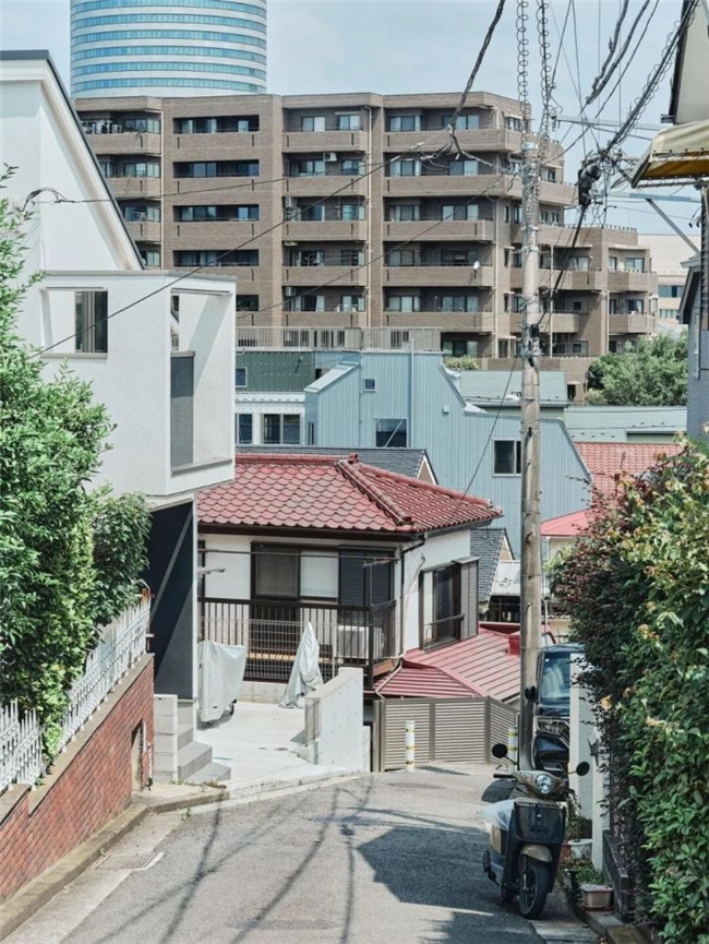 个体共生+空间织补，新横滨菜场的渐进式更新