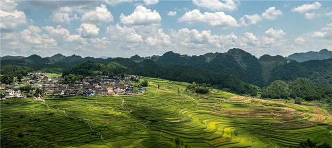 全球征集开启!第六届国际食物设计大赛,用创意链接食物与绿色共生
