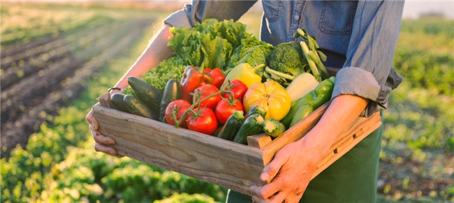 全球征集开启!第六届国际食物设计大赛,用创意链接食物与绿色共生